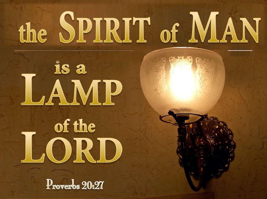 Proverbs 20:27 The Spirit of Man is a Lamp to the Lord (brown)